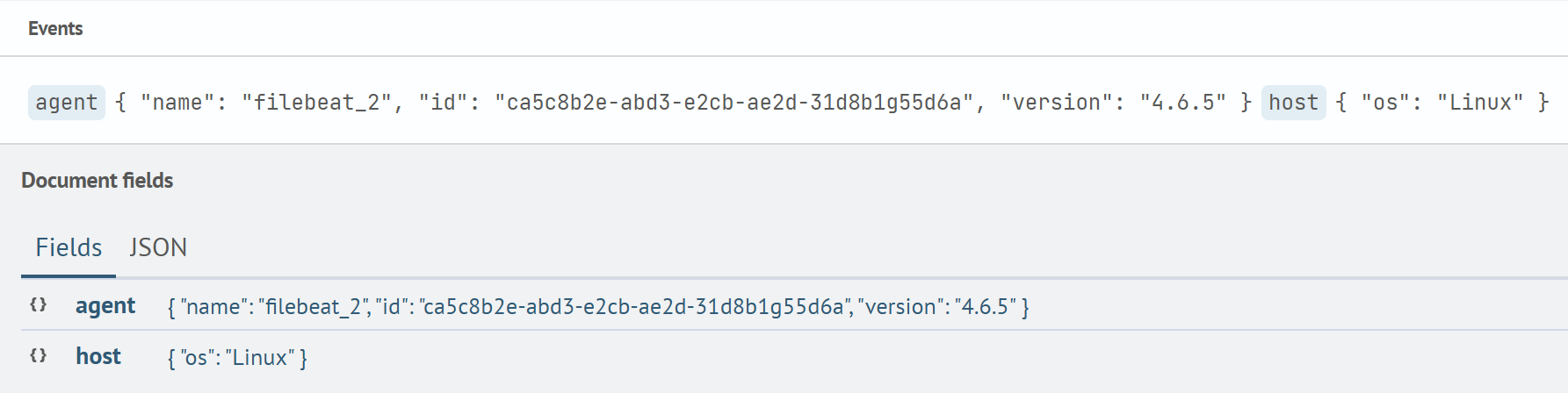 Query_Result_for_the_First_Wildcard_Example