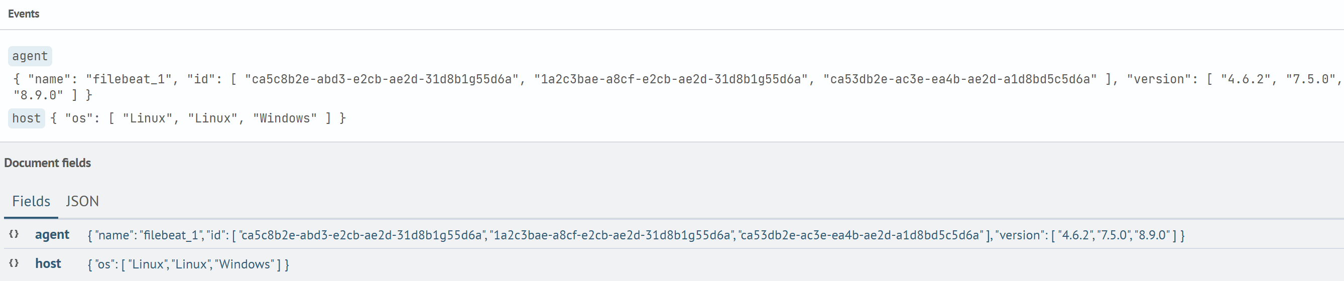 Query_Result_for_the_Second_Wildcard_Example